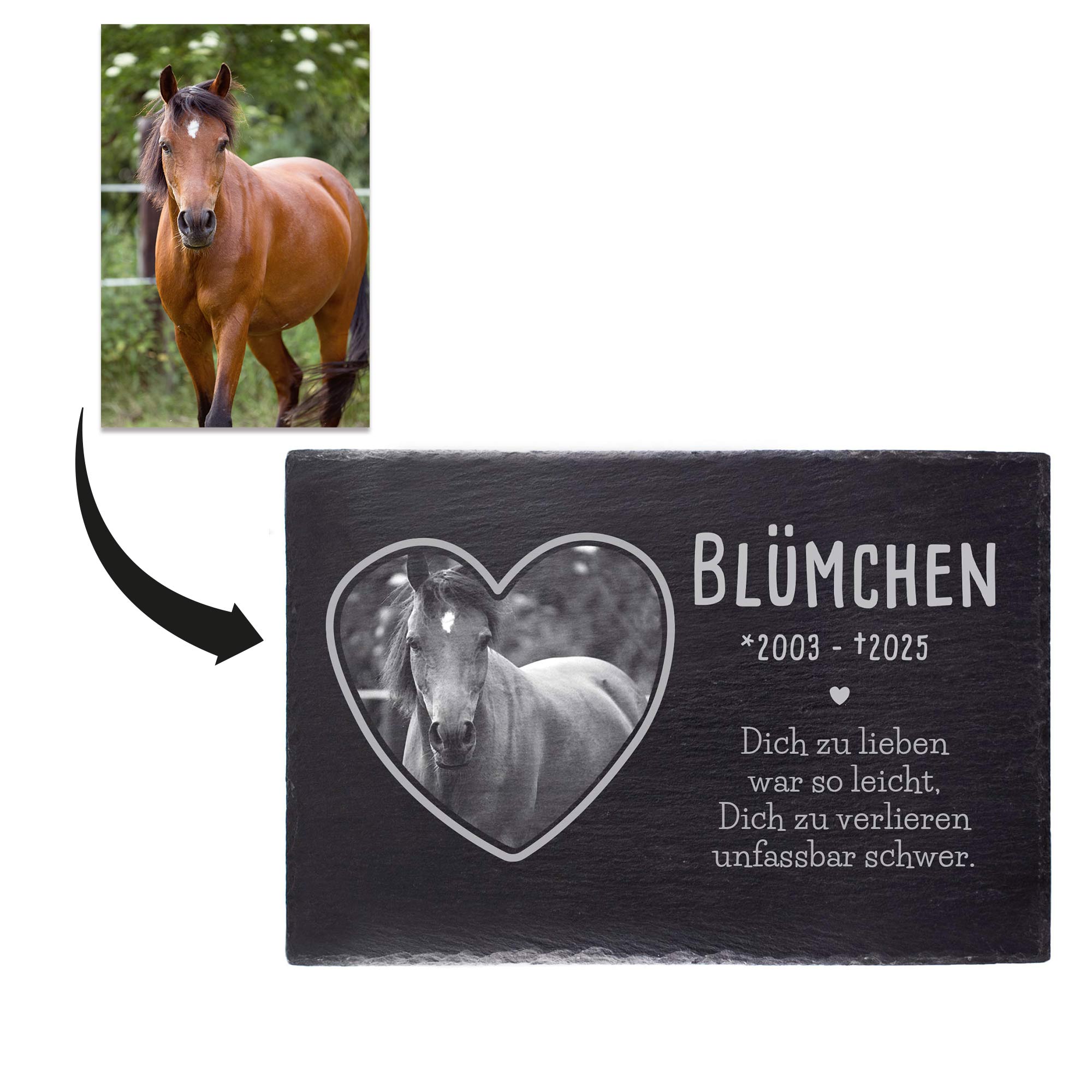 Personalisierte Grabplatte mit Foto für Haustier - In Liebe