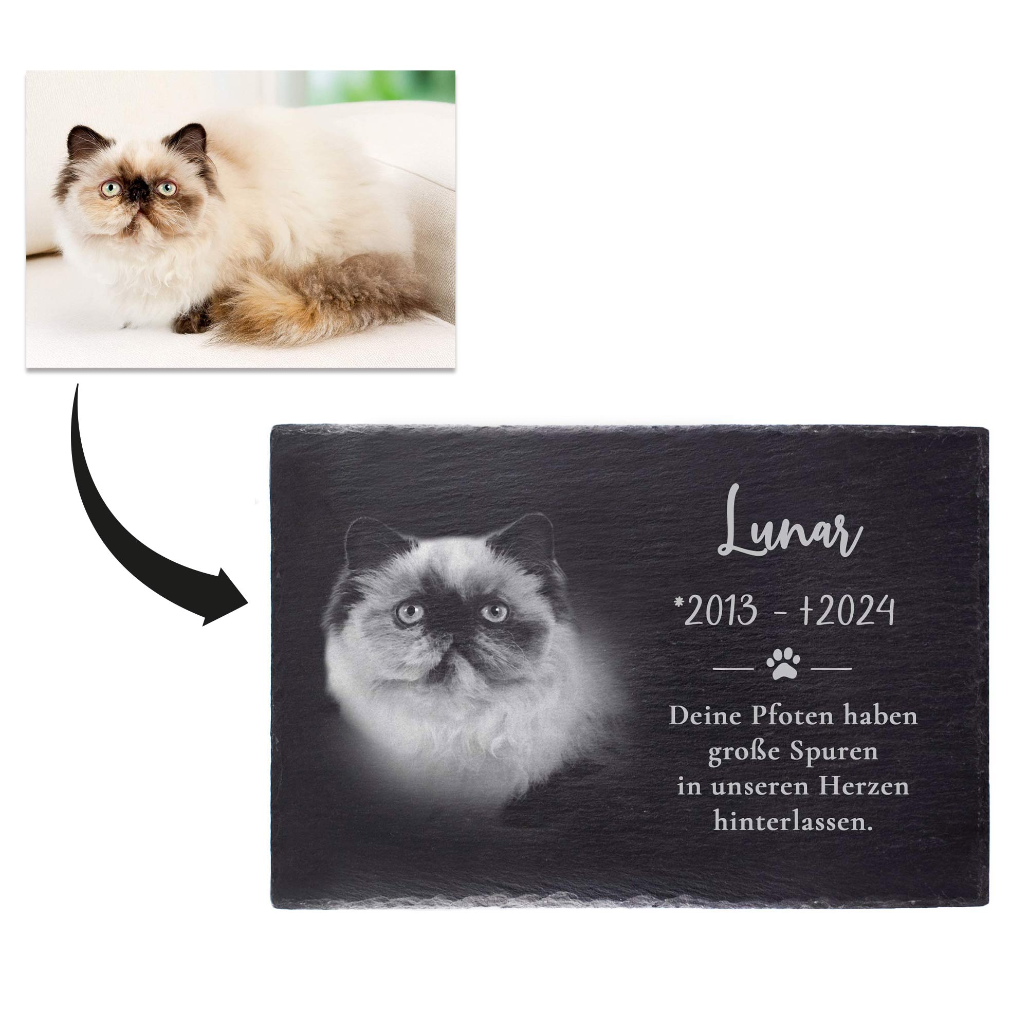 Personalisierte Grabplatte mit Foto - Hund & Katze
