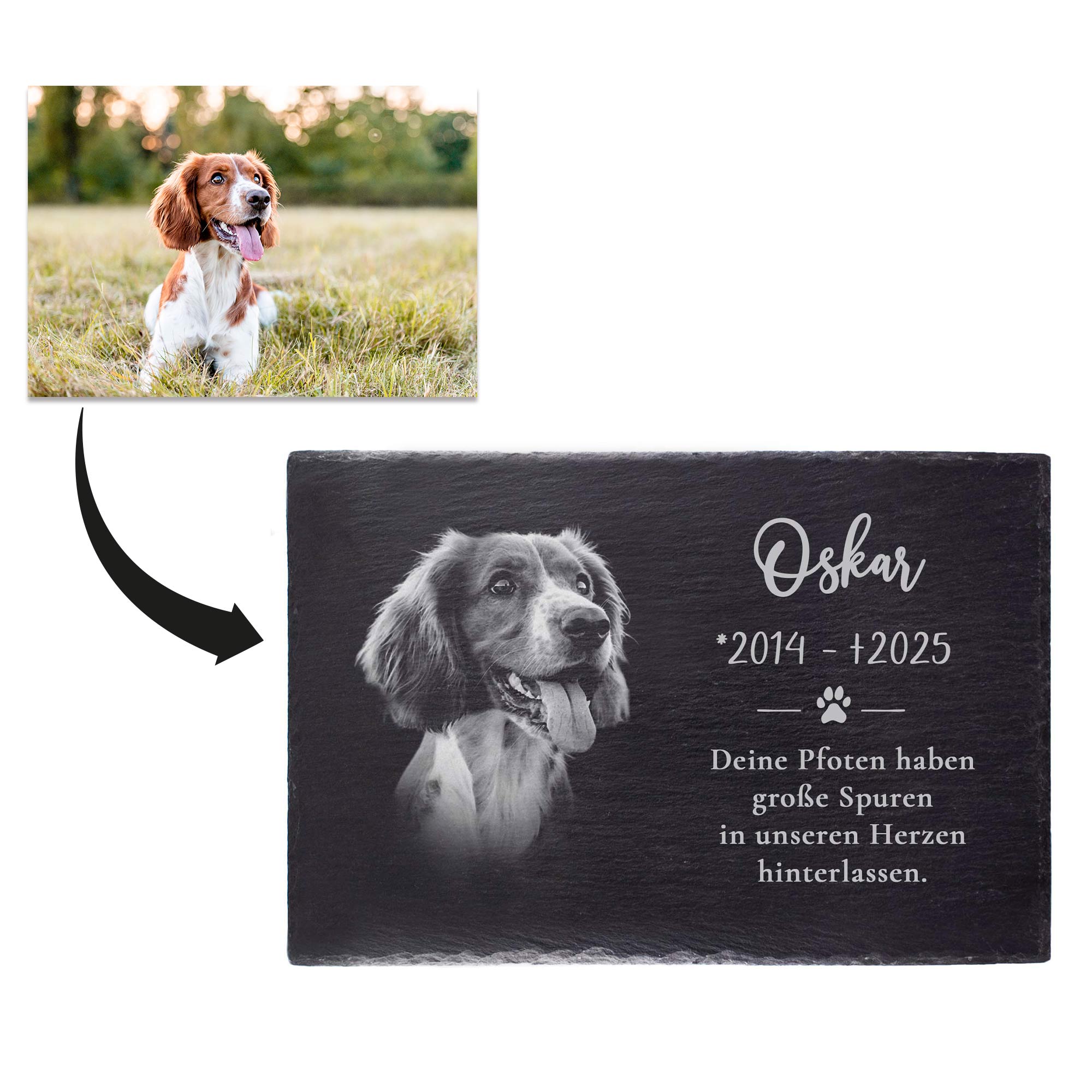Personalisierte Grabplatte mit Foto - Hund & Katze